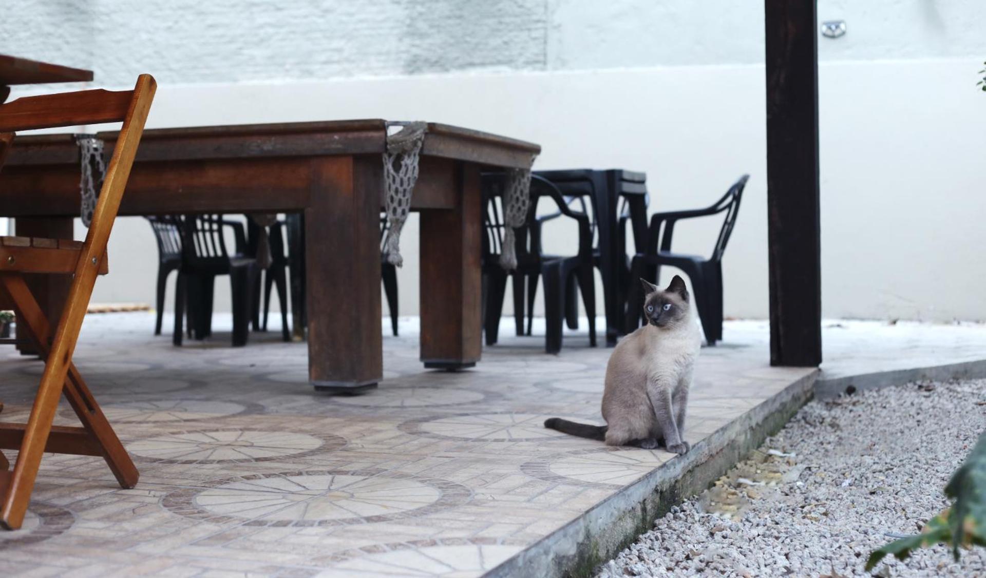 Sagui Hostel Florianópolis Dış mekan fotoğraf